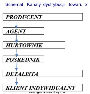 Zamieszczony schemat przedstawia kanał dystrybucji, z którego może 