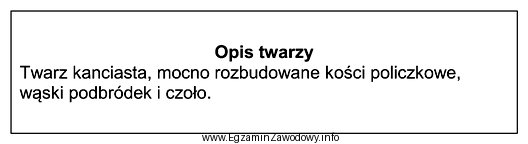 Przedstawiony opis dotyczy twarzy w kształcie