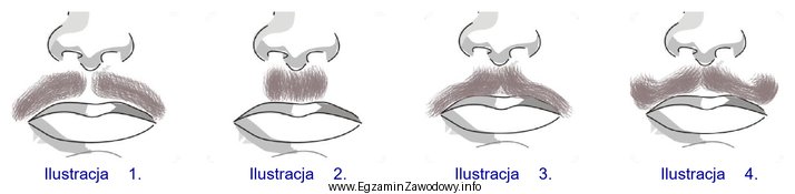 Która ilustracja przedstawia wąsy w formie muchy?