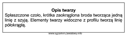 Zamieszczony opis dotyczy twarzy o profilu