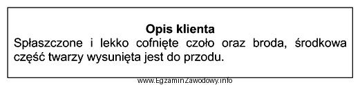 Zamieszczony opis dotyczy twarzy o profilu