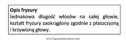 Opis dotyczy formy fryzury damskiej typu