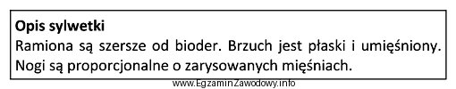 Zamieszczony opis dotyczy sylwetki typu