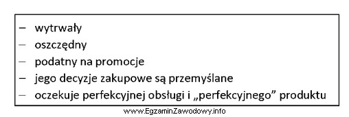 Klienta o jakim temperamencie dotyczy opis?