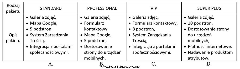 W szczegółach dotyczących zlecenia wykonania strony internetowej 