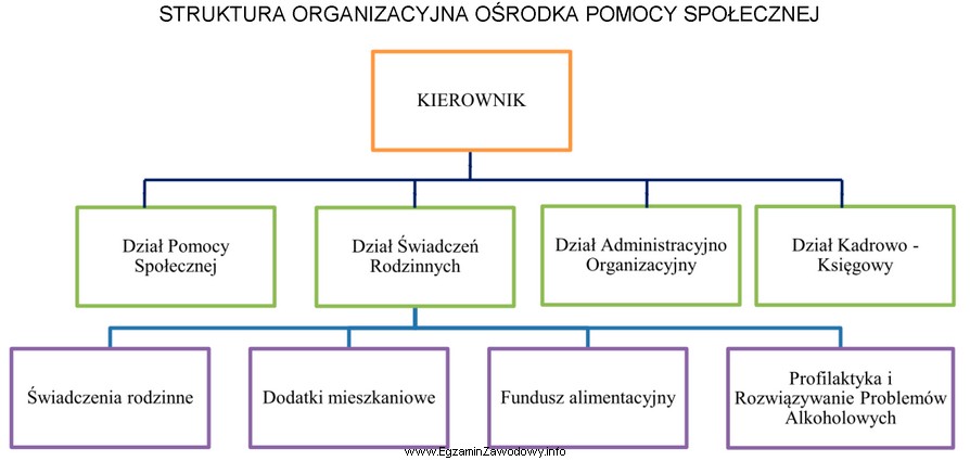 Na podstawie przedstawionej struktury organizacyjnej, określ, który dział 