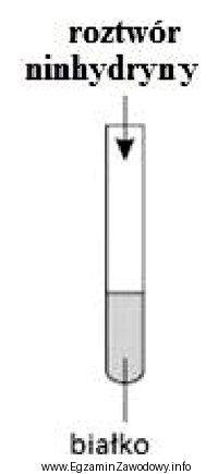 Przeprowadzono doświadczenie zgodnie ze schematem.<br/> Roztwór w 