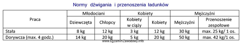 Masa przedmiotów podnoszonych i przenoszonych przez jednego pracownika - 