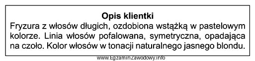 Przedstawiony opis dotyczy klientki, która jest reprezentantką stylu