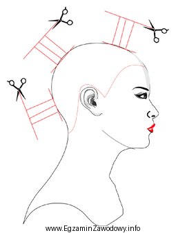 Na rysunku instruktażowym zabiegu strzyżenia damskiego przedstawiono projekcję 