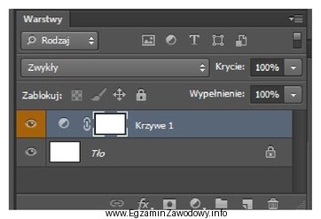 Ilustracja przedstawia panel programu Adobe Photoshop zawierający warstwę tł