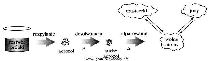 Na schemacie przedstawiono procesy, które zachodzą podczas przygotowania pró