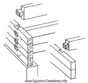 Ściany wieńcowe zewnętrzną i wewnętrzną przedstawione 