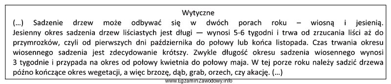 Obsadzenie pasa drogowego brzozami, zgodnie z przedstawionymi wytycznymi, powinno nastą