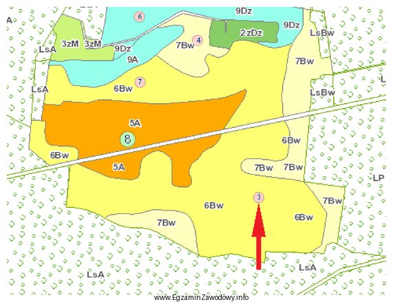 Na zamieszczonym fragmencie mapy glebowo-rolniczej czerwoną strzałką wskazano
