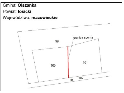 Kto upoważnia geodetę do przeprowadzenia czynności rozgraniczeniowych, w 