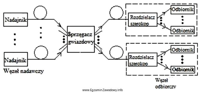 Jaką topologię sieci szerokopasmowych WDM przedstawia rysunek?