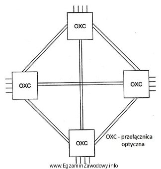 Którą strukturę sieci optycznej przedstawiono na rysunku?