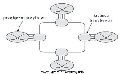 Który system transmisyjny reprezentuje struktura przedstawiona na rysunku?