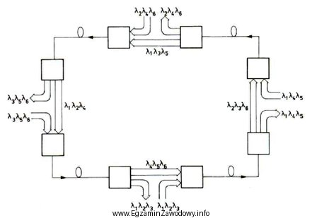 Którą topologię selektywnych sieci optycznych WDM przedstawiono na rysunku?