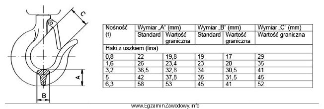 Na podstawie zamieszczonego fragmentu procedury przeglądu, hak o noś