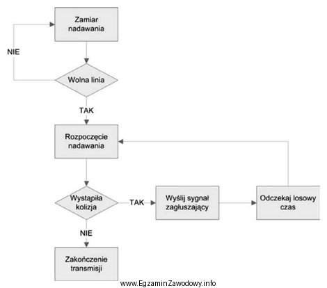 Topologia logiczna, której mechanizm działania jest pokazany na 