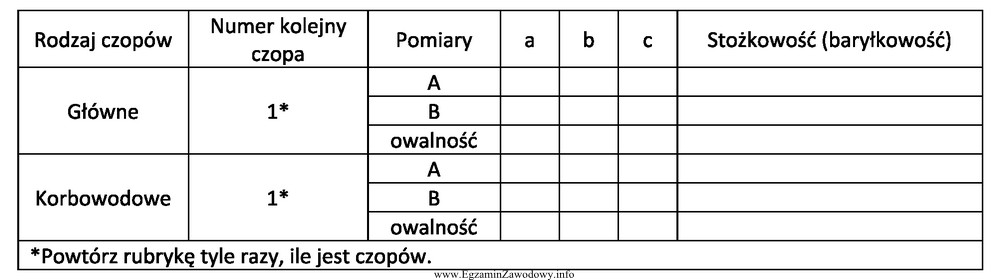 W zamieszczonej tabeli wpisuje się informacje dotyczące pomiaru