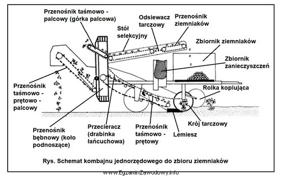 Który zespół jednorzędowego kombajnu do zbioru ziemniakó