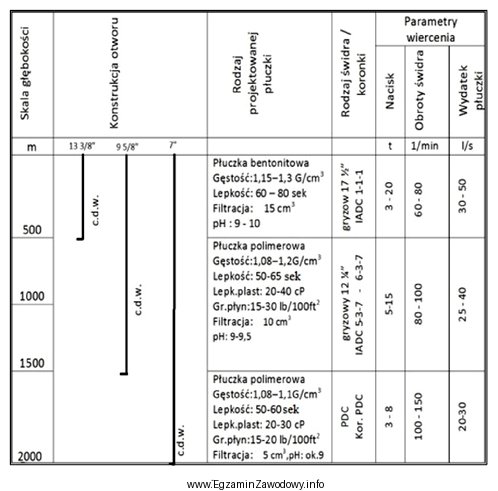 Na podstawie fragmentu projektu geologiczno-technicznego otworu określ rodzaj ś