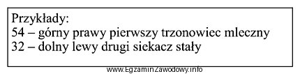 Którego systemu znakowania zębów dotyczą zamieszczone w 