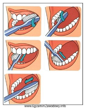 Którą metodę szczotkowania zębów przedstawiają rysunki?