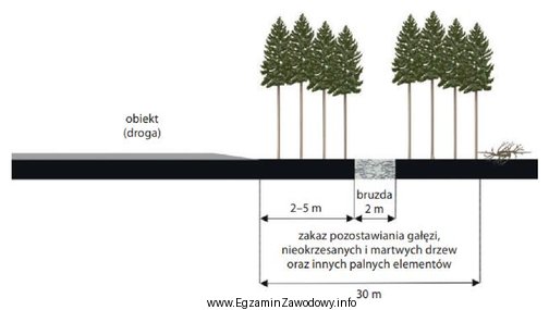 Na schemacie przedstawiono pas przeciwpożarowy typu