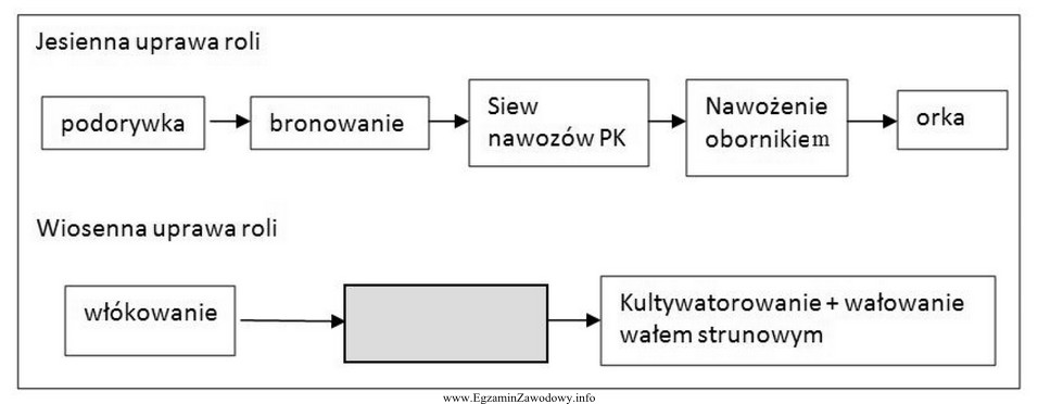 Zaplanuj brakujący w schemacie blokowym (szare pole) zabieg uprawowy 