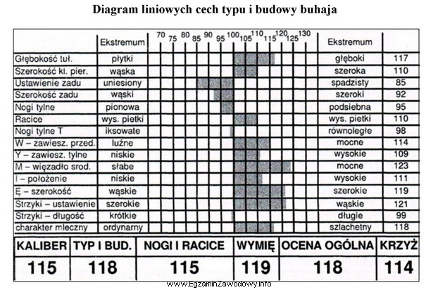 Buhaj, którego wartość hodowlaną przedstawiono w formie diagramu 