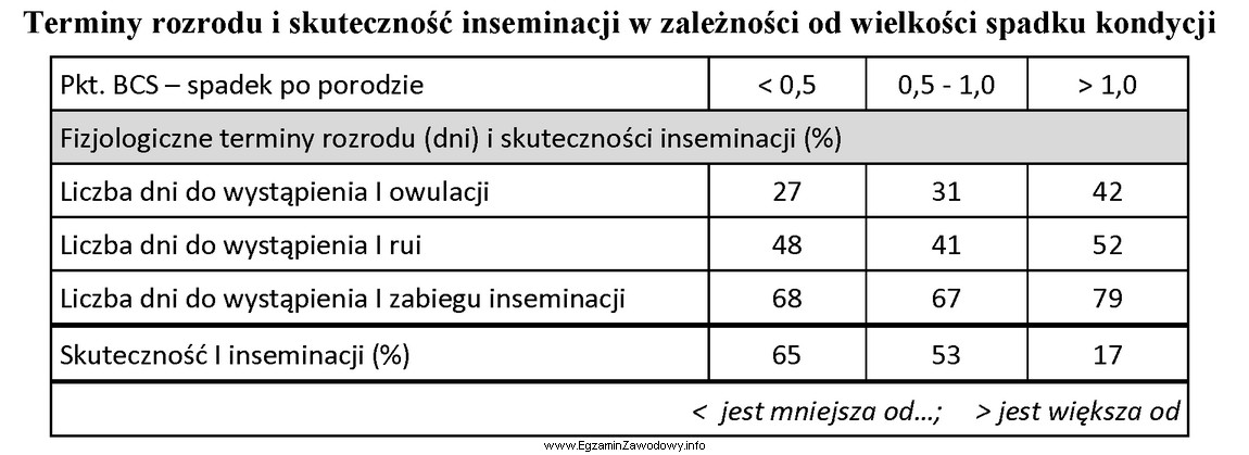 Kondycja krowy przy wycieleniu wynosiła 3,0 pkt. BCS. Na podstawie 