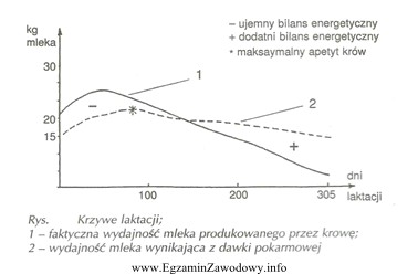 Krowa produkuje więcej mleka niż wynika to z pobranej 