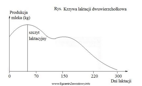 Przebieg laktacji według przedstawionej na rysunku krzywej jest charakterystyczny 