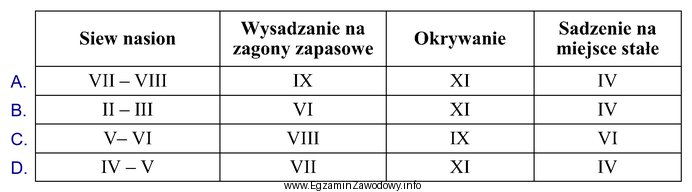 Wskaż prawidłowy harmonogram uprawy bratka ogrodowego uwzględniający 