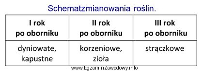 Korzystając z danych przedstawionych w tabeli wybierz zestaw roś