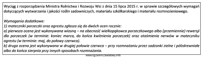 Druga ocena matecznika porzeczki czarnej rozmnażanej przez sadzonki zdrewniał