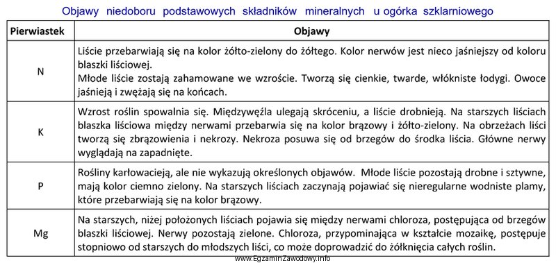 W uprawie ogórka szklarniowego stwierdzono zamieranie brzegów liś