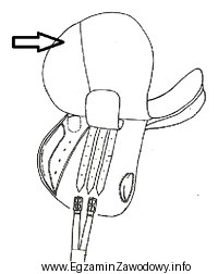 Element siodła wskazany strzałką na przedstawionym rysunku to