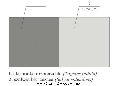 O który zapis należy uzupełnić oznaczenie zastosowane 