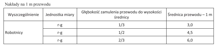 W ramach robót konserwacyjnych należy oczyścić z 