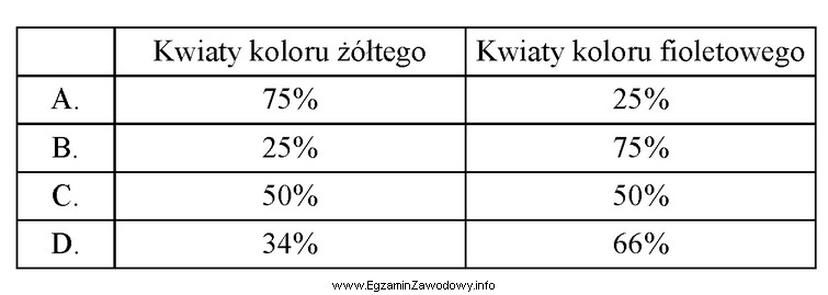 Wskaż, która z wymienionych w tabeli proporcji będzie 