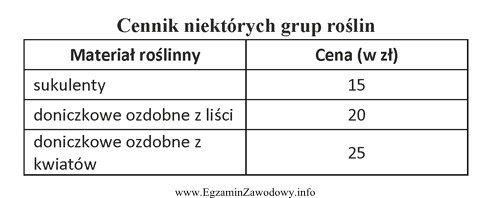 Do aranżacji pomieszczenia wykorzystano: kaladium - 3 szt., kordylinę - 2 