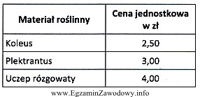 Do obsadzenia pojemnika podwieszanego florysta zastosował 3 sztuki gatunku kwitnącego 