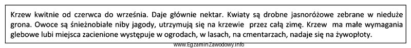 Którego krzewu miododajnego dotyczy opis?