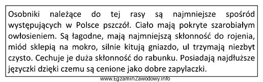 Której rasy pszczół dotyczy opis?