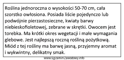 Której rośliny miododajnej dotyczy załączony opis?